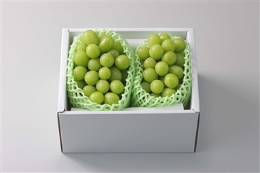 Ninifarm シャインマスカット