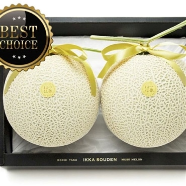 （高知県）《上級品》マスクメロン2玉箱入り3.2kg以上【一果相伝】「株式会社篤農」