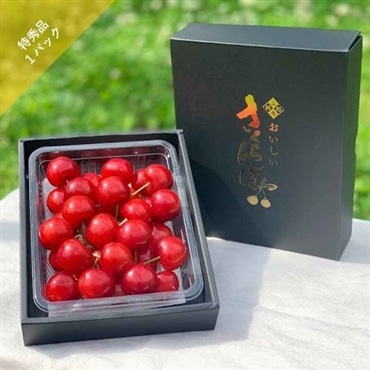（山形県）さくらんぼ佐藤錦/特秀品「アンスリーファーム」