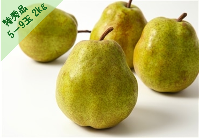 （山形県）ラ・フランス 秀品「アンスリーファーム」