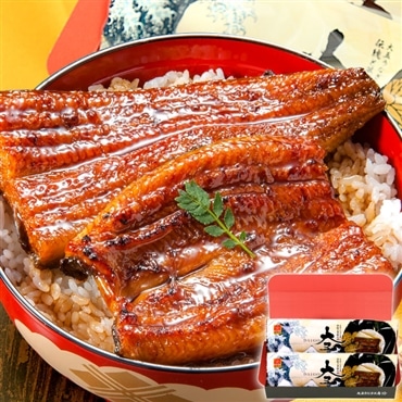 (静岡県)ミシュランシェフ監修の国産うなぎ蒲焼 長蒲焼2尾セット 香ばしく、ふっくら「大五うなぎ工房」【大五通商株式会社】