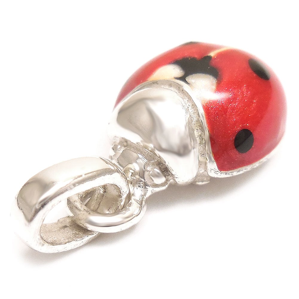 サツルノ：てんとう虫のシルバーチャーム