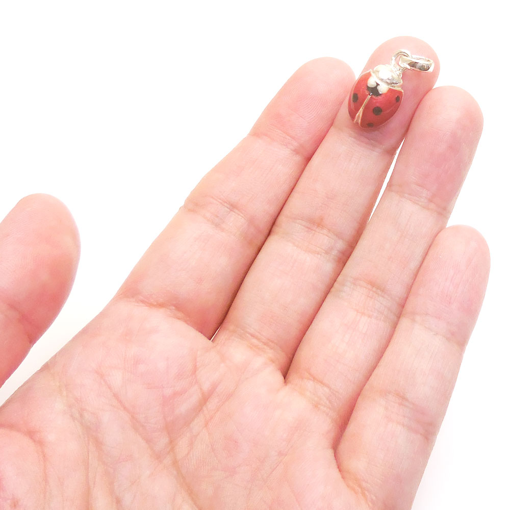 サツルノ：てんとう虫のシルバーチャーム