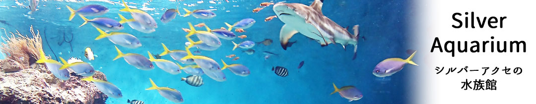 Silver Aquarium:シルバーアクセの水族館