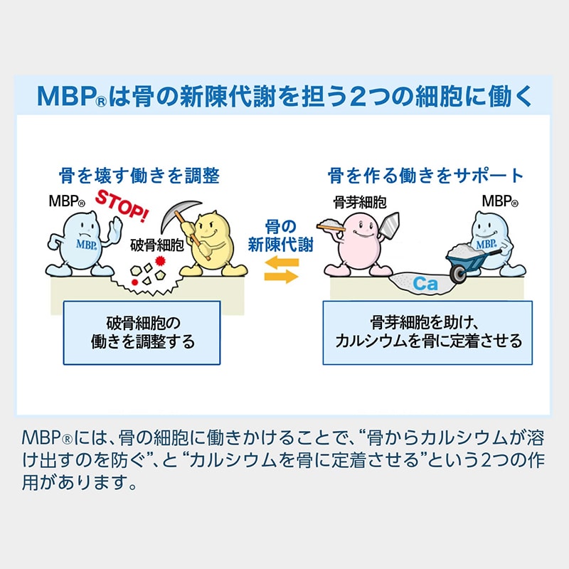 雪印メグミルク 毎日骨ケアＭＢＰ ブルーベリー風味 90本/賞味期限2022