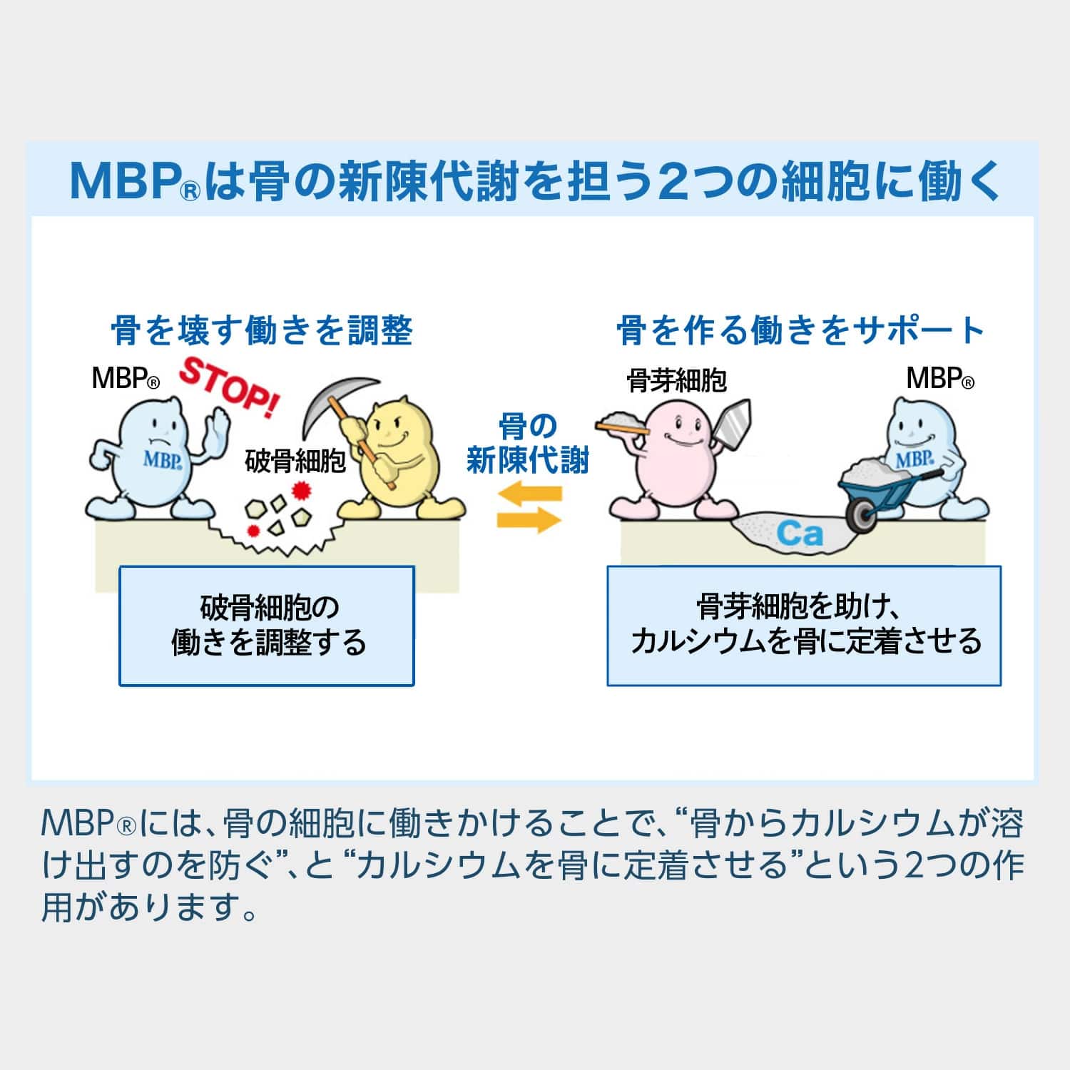 雪印メグミルク】 ＜ペットボトル＞毎日骨ケアMBP(R) ブルーベリー風味 