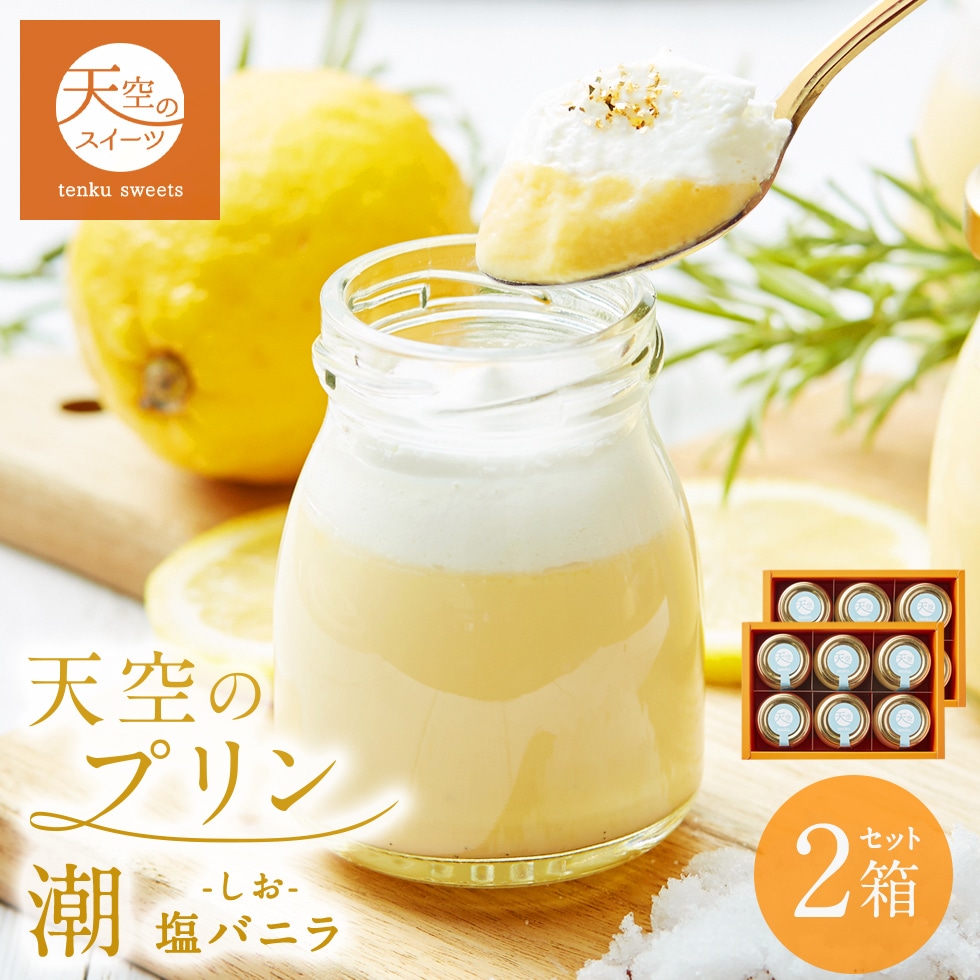 クリスマス お歳暮 ギフト 天空のプリン 潮 塩バニラ 6個 2箱セット ギフト スイーツ 最高級 洋菓子 贈り物 誕生日 お礼 記念日 送料無料 お祝い プレゼント