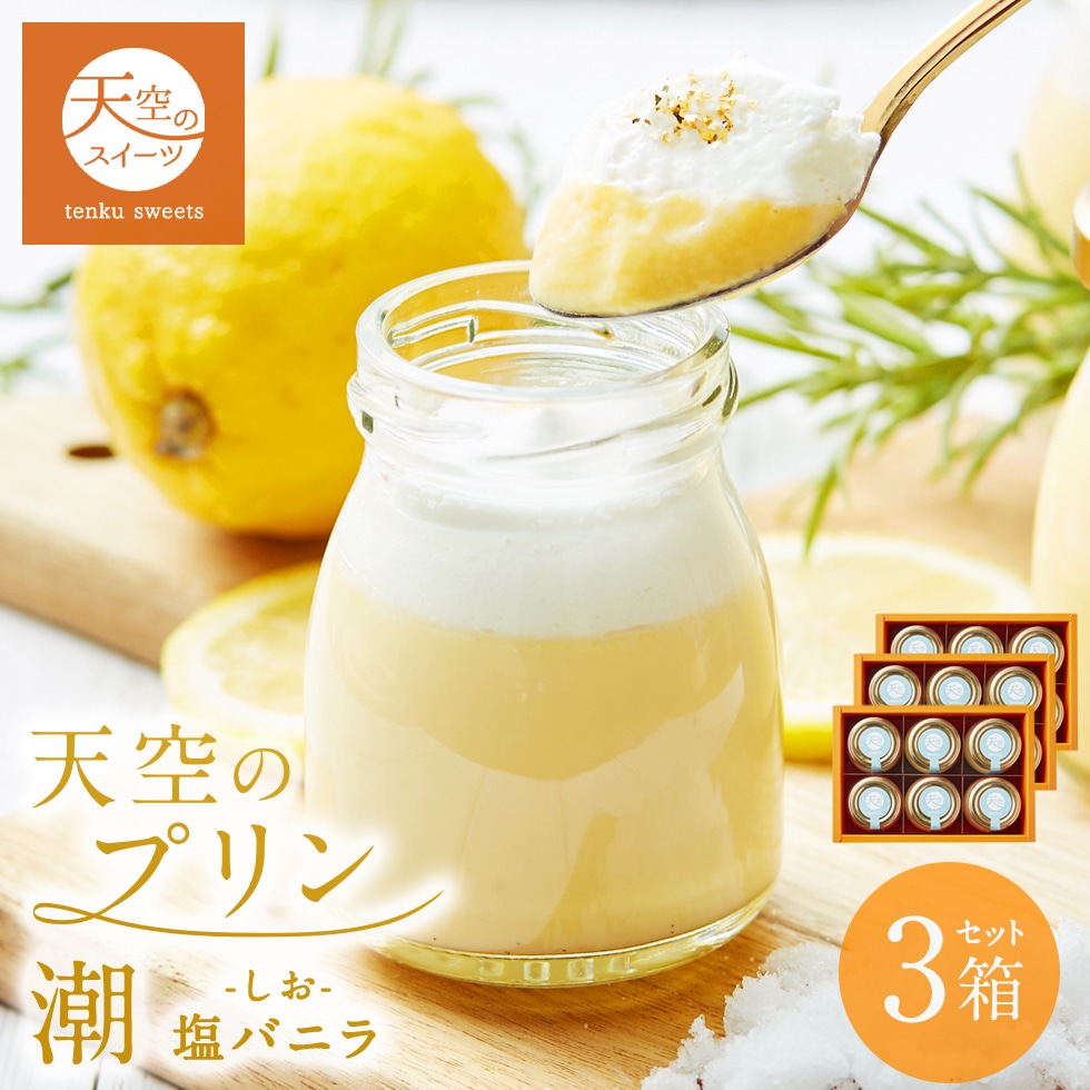 クリスマス お歳暮 ギフト 天空のプリン 潮 塩バニラ 6個 3箱セット ギフト スイーツ 最高級 洋菓子 贈り物 誕生日 お礼 記念日 送料無料 お祝い プレゼント