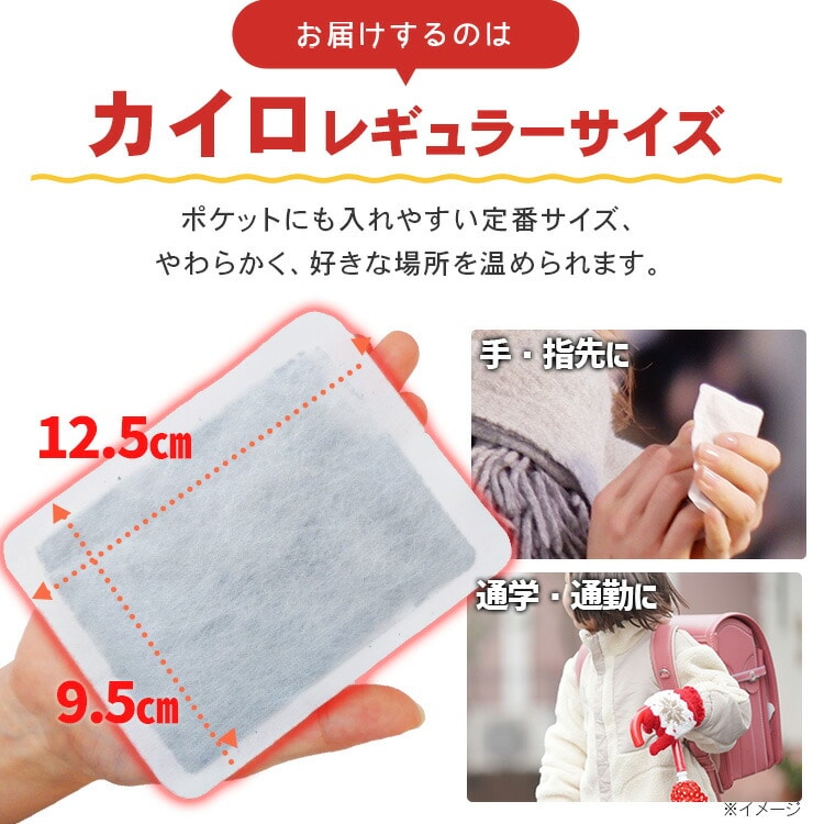 公式］カイロ 貼らない 使い捨てカイロ レギュラー 60枚 PKN-60R