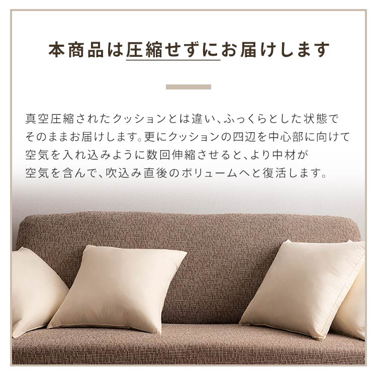 美品未使用アクタスフェザー100% クッションBE2コセット 美品未使用アクタスフェザー100% クッションBE2コセット