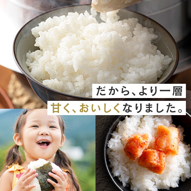 秋田米　あきたこまち 9kg IRIS OHYAMA 玄米 秋田県産 あきたこまち 5kg アイリスの玄米