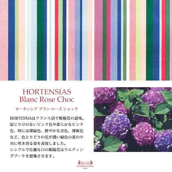 オータンシア ブラン ローズ ショック/HORTENSIAS Blanc Rose Choc