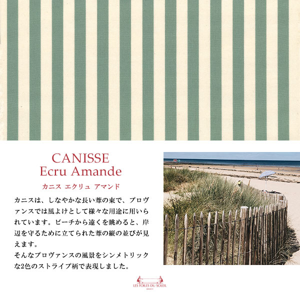 カニス エクリュ アマンド/CANISSE Ecru Amande