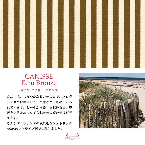 カニス エクリュ ブロンズ/CANISSE Ecru Bronze