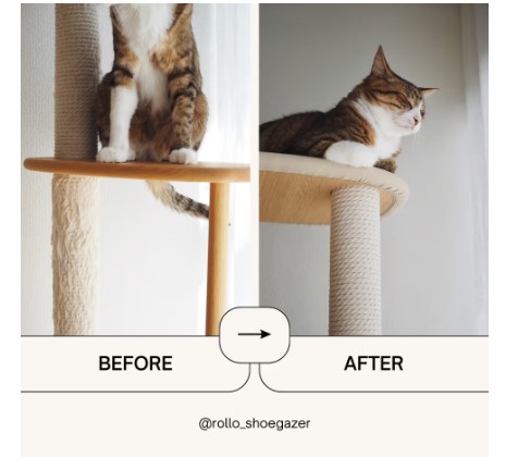 KARIMOKU CAT TREE (White & sheer white)((WxDxH) 605 x 580 x KARIMOKU CAT TREE (White & sheer white)((WxDxH) 605 x 580 x