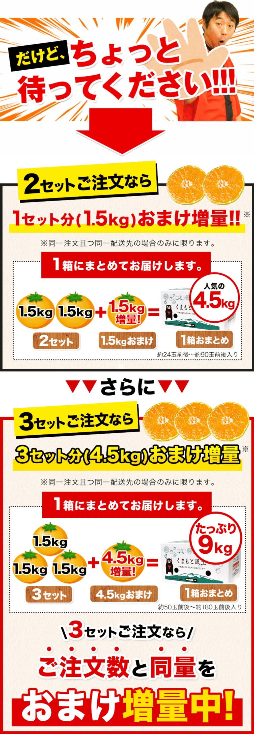 gomoku5318ページ　送料 みかん 訳あり 送料無料 熊本ミカン 大玉 小玉 不選別 規格外 果物