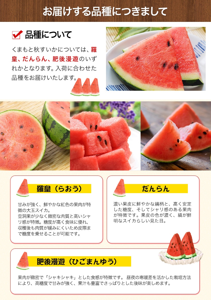 スイカ様 リクエスト 2点 まとめ商品 スイカ様 リクエスト 2点 まとめ商品 スイカ様 リクエスト 2点 まとめ