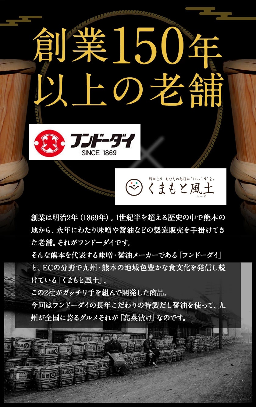 辛子高菜 ごま高菜 2種 食べ比べセット 計 400g 本場 九州産 国産 1000