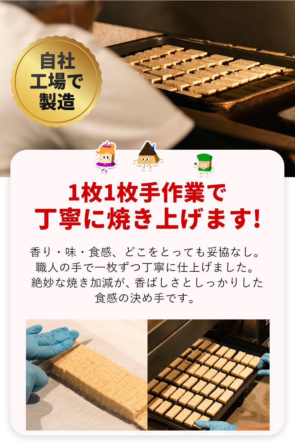 おからクッキー 大容量 700g 抹茶 黒ゴマ ほうじ茶 紅茶 ココア アーモンド ヘルシー 糖質オフ スイーツ クッキー 食品 砂糖 バター 卵 《7-14営業日以内に発送予定(土日祝除く)》 _-rg_okacokyv2_wx_24_3960_350gx2