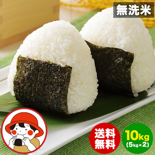 国産 ふるさと 無洗米 10kg 送料無料 精米 国産ふるさと無洗米 非常食