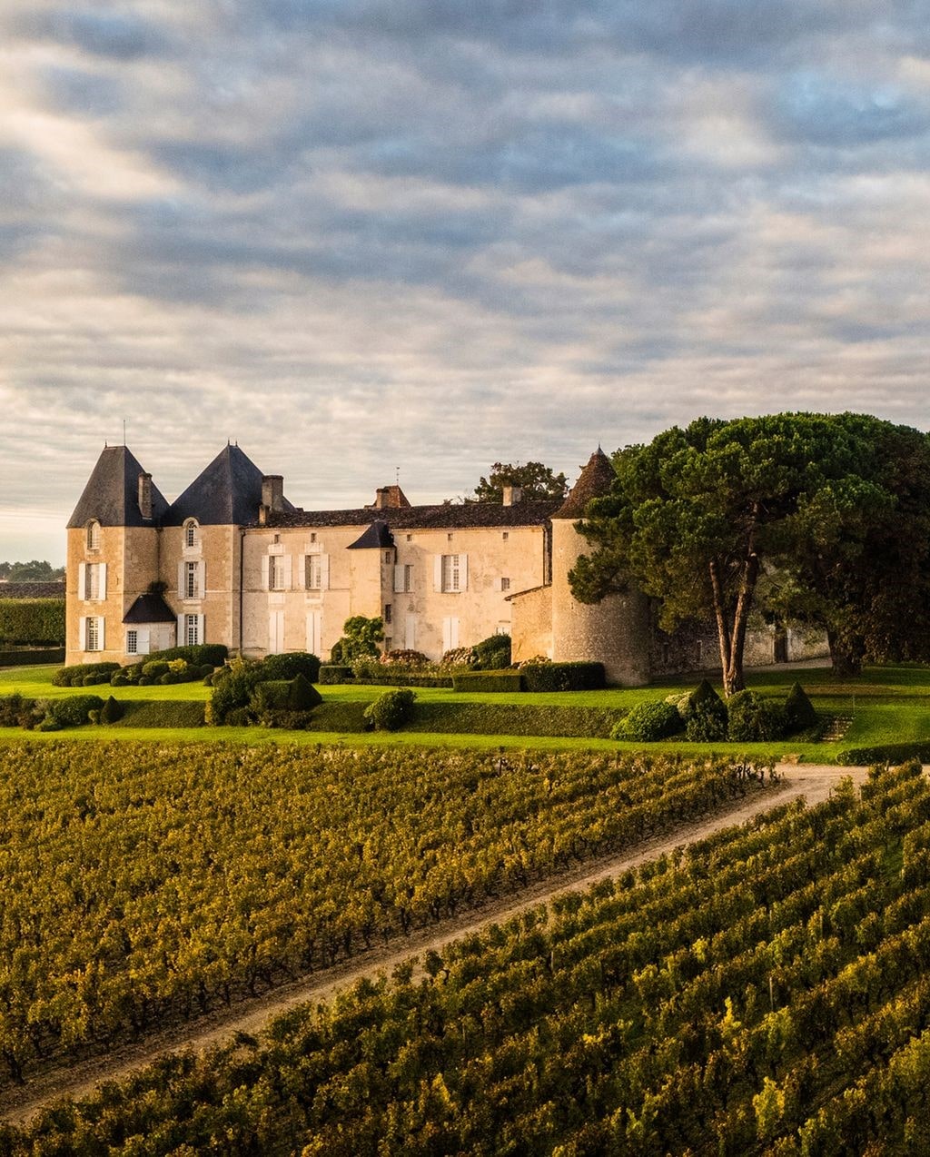 Chateau d'Yquem 上段