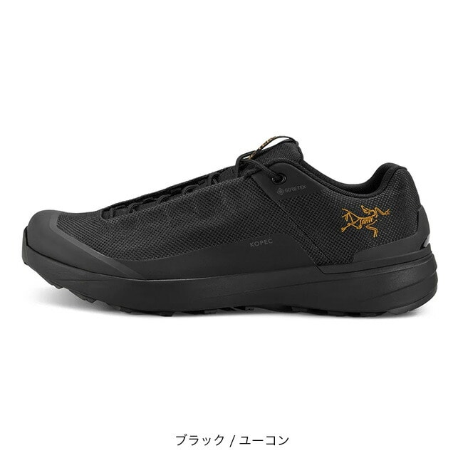 ARC'TERYX アークテリクス コペックGTX メンズ(25.5cm ブラック