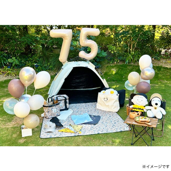 ロゴス×スヌーピーミュージアム　ピクニック5セット ロゴス×スヌーピーミュージアム ピクニック5セット