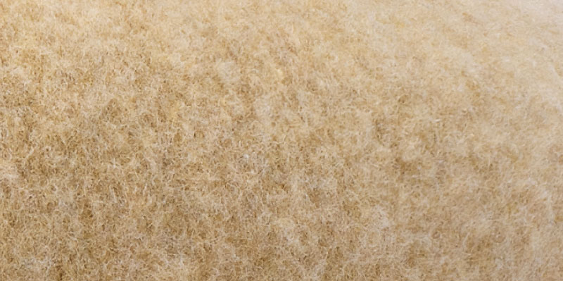 YOKOI BERET とんがりベレー 