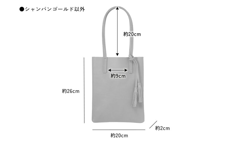 ANON ナチュラルレザー・ミニトートバッグ