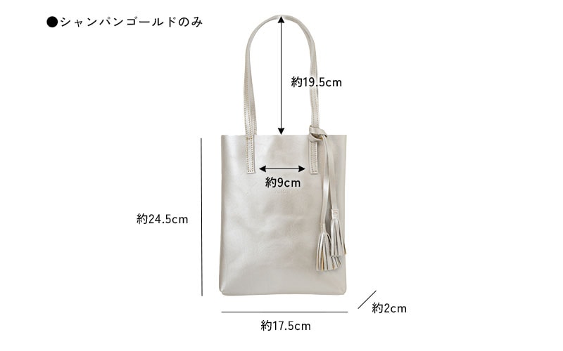 ANON ナチュラルレザー・ミニトートバッグ